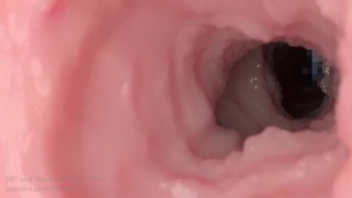 3D Animation [Part-1] FHD 1080p