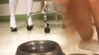 Leesbian Piss Slave