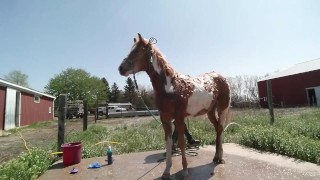 Whitney Podhradsky perfect sexy asscrack voyeur candid buttcrack