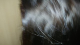 wife gloryhole big white cock