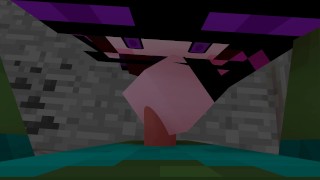 Minecraft Endie meets You [Endie X Point of View]